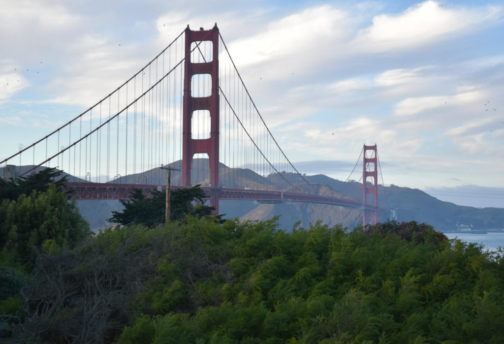 Sarah Enzminger's photography