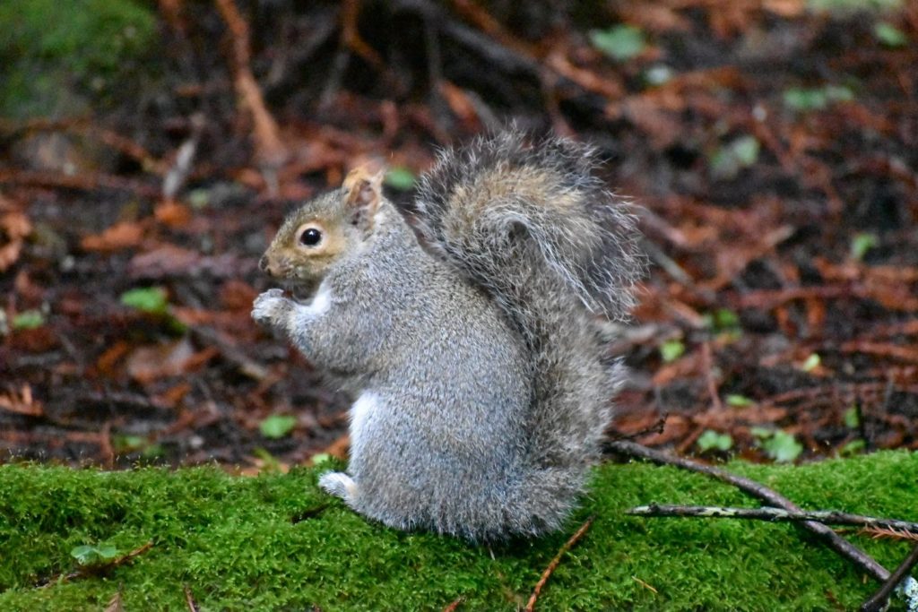 Sarah Enzminger's photography